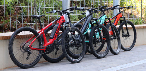 Amplify Your Pedal Power - Why you need an EMTB