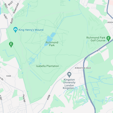 Richmond Park Road Riding
